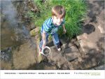 Bilder Experimente mit Wasser II klein_Seite_07.jpg