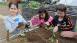 Fischbachtal kreativ - 2013 - Ein Gartenjahr für Kinder