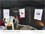 Nonstock-Web-page-006.jpg