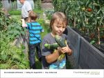 2013-08-23-01 - Gartenjahr fuer Kinder bei Fischbachtal kreativ.jpg