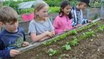 Fischbachtal kreativ - 2013 - Ein Gartenjahr für Kinder