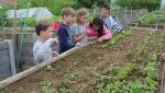 Fischbachtal kreativ - 2013 - Ein Gartenjahr für Kinder