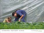 Fischbachtal kreativ - 09.08.2013 - Gartenjahr mit Kindern - Bild03.jpg