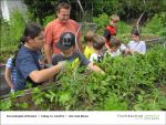 Fischbachtal kreativ - Gartenjahr mit Kindern - 2013-06-14-Bild06.jpg