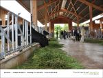 Fischbachtal kreativ besucht das Hofgut Oberfeld - 2013-06-15-Bild08.jpg