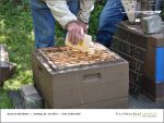 Fischbachtal kreativ - Rind um die Bienen 02-06.2013 - 16.jpg