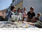 2014-03-29 Experimente mit Wasser-page-019 - bei Fischbachtal kreativ.jpg