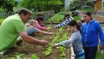 Fischbachtal kreativ - 2013 - Ein Gartenjahr für Kinder