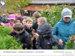 ScreenShot186 - Gartenjahr mit Kindern am 02.11.2013 bei Fischbachtal kreativ.jpg