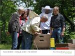 Fischbachtal kreativ - Rind um die Bienen 02-06.2013 - 10.jpg