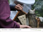 Fischbachtal kreativ - Rund um die Bienen 23.06.2013 - Bild09.jpg