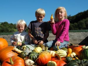 Kürbis-Kinder - Foto Horndreher Hof