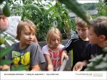 2013-08-23-04 - Gartenjahr fuer Kinder bei Fischbachtal kreativ.jpg