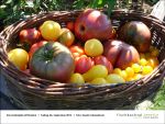 2013-09-06-05 - Gartenjahr mit Kindern bei Fischbachtal kreativ.jpg