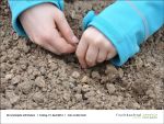  Gartenjahr mit Kindern bei Fischbachtal kreativ am 19.04.2013 - Bild08.jpg