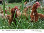 Fischbachtal kreativ besucht das Hofgut Oberfeld - 2013-06-15-Bild20.jpg