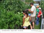 Fischbachtal kreativ - Gartenjahr mit Kindern am 26.07.2013 - Bild01.jpg