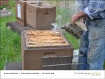 Fischbachtal kreativ - Rund um die Bienen-2013-04-25-02.jpg