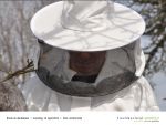 Rund um die Bienen 17 - Foto Achim Krell.jpg