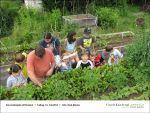 Fischbachtal kreativ - Gartenjahr mit Kindern - 2013-06-14-Bild02.jpg