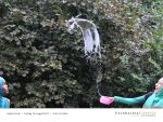 Folie17.JPG