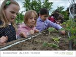 Gartenjahr mit Kindern bei Fischbachtal kreativ - Bild12.jpg