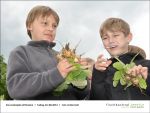 Gartenjahr mit Kindern bei Fischbachtal kreativ - Bild5.jpg