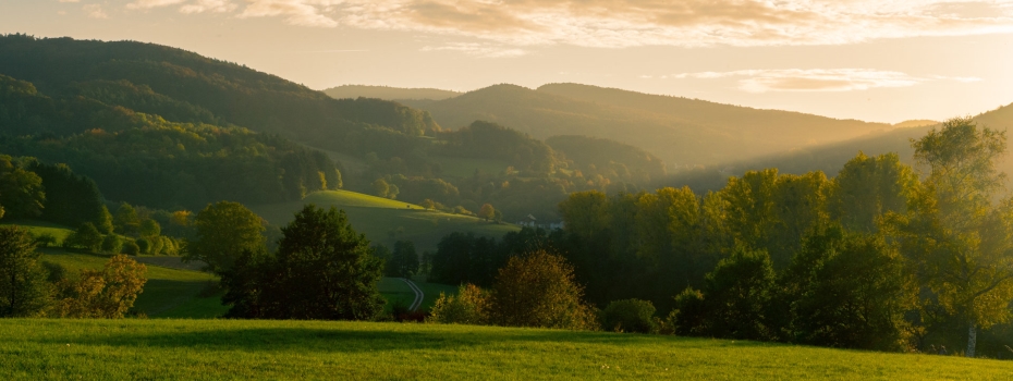 buehne - Foto Bernd Doerwald